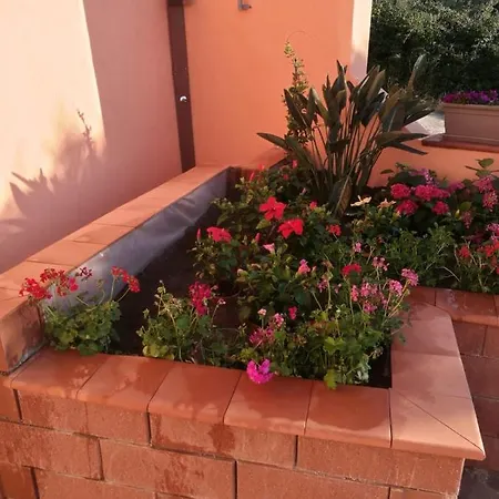 Sweet Isola Rossa (Sassari)